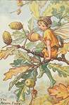 Flower Fairy Alphabet, antique Acorn Flower Fairy print