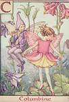 Flower Fairy Alphabet, antique Columbine Flower Fairy print