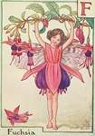 Flower Fairy Alphabet, antique Fuchsia Flower Fairy print