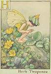 Flower Fairy Alphabet, antique Herb Twopence Flower Fairy print