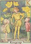 Flower Fairy Alphabet, antique Kingcup Flower Fairy print