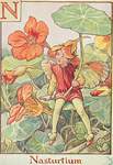 Flower Fairy Alphabet, antique Nasturtium Flower Fairy print
