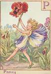 Flower Fairy Alphabet, antique Pansy Flower Fairy print