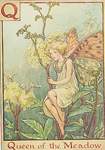 Flower Fairy Alphabet, antique Queen of the Meadow Flower Fairy print
