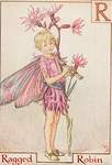 Flower Fairy Alphabet, antique Ragged Robin Flower Fairy print