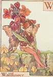 Flower Fairy Alphabet, antique Wallflower Flower Fairy print