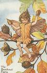 Flower Fairy Alphabet, antique Beechnut Flower Fairy print
