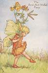 Flower Fairy Alphabet, antique Birdsfoot Trefoil Flower Fairy print