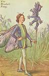 Flower Fairy Alphabet, antique Bluebell Flower Fairy print