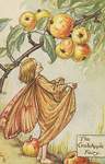 Flower Fairy Alphabet, antique Crab Apple Flower Fairy print