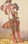 Flower Fairy Alphabet, antique Dogwood Flower Fairy print