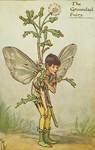 Flower Fairy Alphabet, antique Groundsel Flower Fairy print