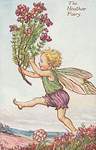Flower Fairy Alphabet, antique Heather Flower Fairy print