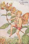 Flower Fairy Alphabet, antique Honeysuckle Flower Fairy print
