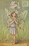 Flower Fairy Alphabet, antique Lady's Smock Flower Fairy print