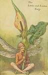 Flower Fairy Alphabet, antique Lords-and-Ladies (spring) Flower Fairy print