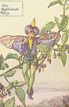 Flower Fairy Alphabet, antique Nightshade Flower Fairy print