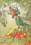 Flower Fairy Alphabet, antique Nightshade Berry Flower Fairy print