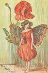 Flower Fairy Alphabet, antique Poppy Flower Fairy print