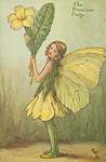 Flower Fairy Alphabet, antique Primrose Flower Fairy print
