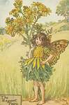 Flower Fairy Alphabet, antique Ragwort Flower Fairy print