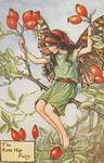 Flower Fairy Alphabet, antique Rose Hip Flower Fairy print