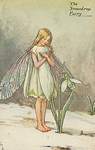 Flower Fairy Alphabet, antique Snowdrop Flower Fairy print