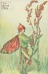 Flower Fairy Alphabet, antique Sorrel Flower Fairy print