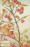 Flower Fairy Alphabet, antique Spindle Berry Flower Fairy print
