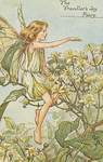 Flower Fairy Alphabet, antique Traveller Flower Fairy print