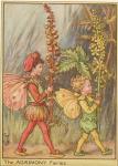 Flower Fairy Alphabet, antique Agrimony Flower Fairy print