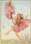 Flower Fairy Alphabet, antique Almond Blossom Flower Fairy print