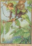 Flower Fairy Alphabet, antique Beech Tree Flower Fairy print