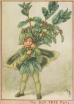Flower Fairy Alphabet, antique Box Tree Flower Fairy print