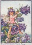 Flower Fairy Alphabet, antique Canterbury Bell Flower Fairy print