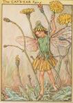 Flower Fairy Alphabet, antique Cats Ear Flower Fairy print