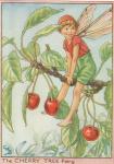 Flower Fairy Alphabet, antique Cherry Tree Flower Fairy print