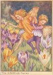 Flower Fairy Alphabet, antique Crocus Flower Fairy print
