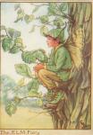 Flower Fairy Alphabet, antique Elm Flower Fairy print
