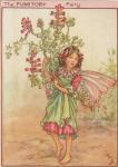 Flower Fairy Alphabet, antique Fumitory Flower Fairy print