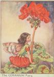 Flower Fairy Alphabet, antique Geranium Flower Fairy print