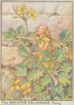 Flower Fairy Alphabet, antique Greater Celandine Flower Fairy print