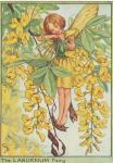 Flower Fairy Alphabet, antique Laburnum Flower Fairy print
