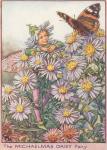 Flower Fairy Alphabet, antique Michaelmas Daisy Flower Fairy print