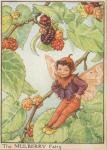 Flower Fairy Alphabet, antique Mulberry Flower Fairy print