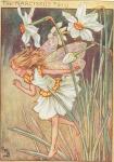 Flower Fairy Alphabet, antique Narcissus Flower Fairy print