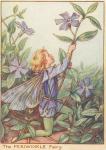 Flower Fairy Alphabet, antique Periwinkle Flower Fairy print