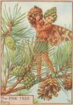Flower Fairy Alphabet, antique Pine Tree Flower Fairy print