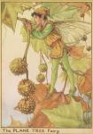 Flower Fairy Alphabet, antique Plane Tree Flower Fairy print