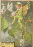 Flower Fairy Alphabet, antique Poplar Flower Fairy print